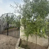 ۳۰۰ متر زمین و باغ