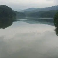 تور برنجستانک با خودرو برقی