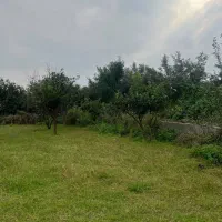 زمین۵۰۰متری سند/با بنای نیمساخته/با درختان پرتقال|فروش زمین و ملک کلنگی|امامزاده عبدالله, |دیوار