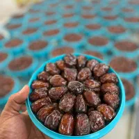 خرمادرجه 1 وضایعات خرما