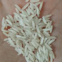 برنج‌طارم دم سیاه مینودشت