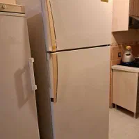 دو دستگاه یخچال و فریزر