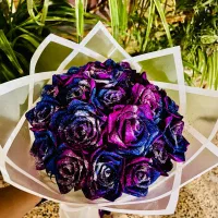 گل رز ربانی کهکشانی