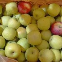 فروش سیب درجه 2