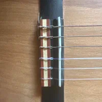 گیتار اگوسیتک آگرین|گیتار، بیس، امپلیفایر|لامرد, |دیوار