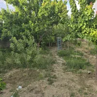 فروش-باغ-500متری