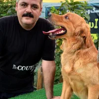 مربی سگ/آموزش سگ/مدرسه سگ|خدمات آموزشی|تهران, گیشا|دیوار