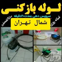 لوله بازکنی تخلیه چاه بازکن سراسرشمال تهران24ساعته|خدمات پیشه و مهارت|تهران, تجریش|دیوار