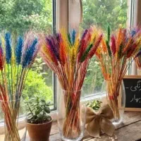 خوشه گندم|عمده‌فروشی|شوشتر, |دیوار