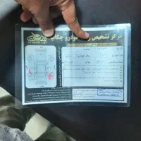 207|خودرو سواری و وانت|سنندج, |دیوار