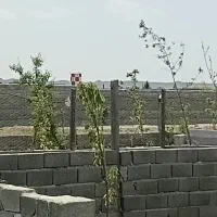 201سندتک-برگ-چهار-دیواری-شده
