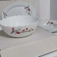 سرویس چینی و آرکوپال و آرکوفام مناسب جهیزیه|ظروف سرو و پذیرایی|بیرجند, |دیوار