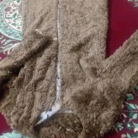 کت قهو ه ای|لباس|زنجان, |دیوار