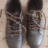 کفش مردانه CAT