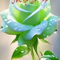 استخدام نیرو خانم و آقا