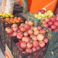 به یک نیروکارجهت کار در مغازه میوه فروشی نیازمندیم