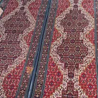 قالی