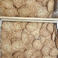 نیرو خانم وقت شناس