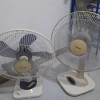 فروش دوعدد پکنه کاملا سالم در بلوار خرمشهر