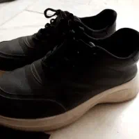 کتونی|کیف، کفش، کمربند|قم, حکمت شمالی|دیوار