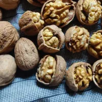 گردو اورگانیک|خوردنی و آشامیدنی|مهاباد (آذربایجان غربی), |دیوار