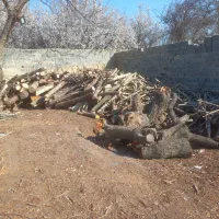 خریدار چوب هرس درختان