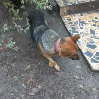 فروش فوری با قیمت مناسب