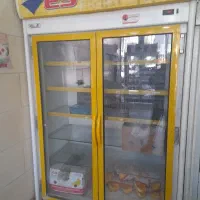 یخچال الکترواستیل یک ونیم