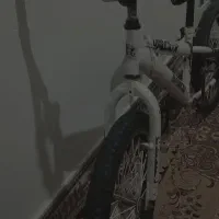 دوچرخه حرفهای قیمت 4میلیو