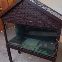 آکواریوم خانگی|ماهی|آمل, |دیوار