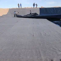 ژئوممبران عایق استخرهای کشاورزی و صنعتی|خدمات باغبانی و درختکاری|بندرعباس, |دیوار