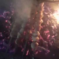 زغال درجه یک