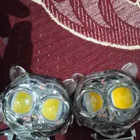 چراغ ببری|لامپ و چراغ|یاسوج, |دیوار