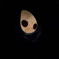 سنگ ماورایی|کلکسیون اشیاء عتیقه|شیراز, ارم|دیوار