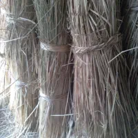 فروش کولوش|لوازم جانبی حیوانات|طاهرگوراب, |دیوار