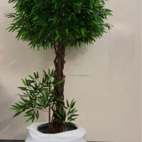 گالری سبز مهتاب ( انواع درختچه مصنوعی )