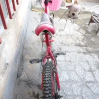 دوچرخه ۲۰حرفه ای|دوچرخه، اسکیت، اسکوتر|بروجرد, |دیوار