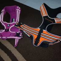 قلاده کتف بند