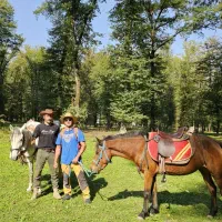 تور اسب سواری به جنگل هیرکانی