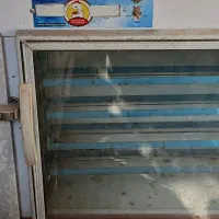 دستگاه جوجه کشی ۵۰۴ تایی|ماشین‌آلات صنعتی|تایباد, |دیوار