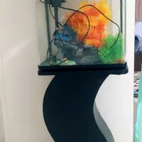 آکواریوم همراه با میز پایه