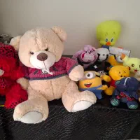 13 عدد عروسک