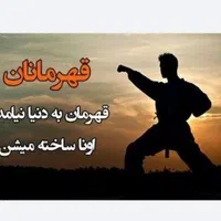 آموزش خصوصی ورزش های رزمی  درمحل دلخواه هنرآموز|خدمات آموزشی|اهواز, کیانپارس |دیوار