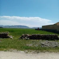 کشاورزی