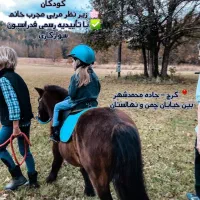 آموزش سوارکاری  پانسیون  محمدشهر و مهرشهر|خدمات آموزشی|محمدشهر, محمدشهر|دیوار