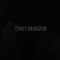 شماره ۰۹۰۱۳۴۵۶۲۰۸