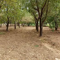 باغ 1000متری در آستانه