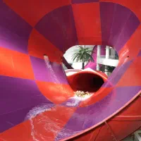 بلیط بزرگترین استخر آبی اوپارک بزرگسال