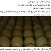 کهره بره گوسفندبزه گاوگوساله بلدرچین|حیوانات مزرعه|یاسوج, |دیوار