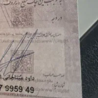 چک گم کردم